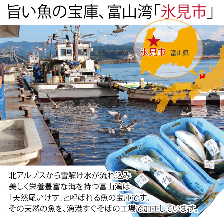 旨い魚の宝庫、富山湾「氷見市」
