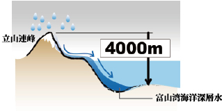 富山湾海洋深層水